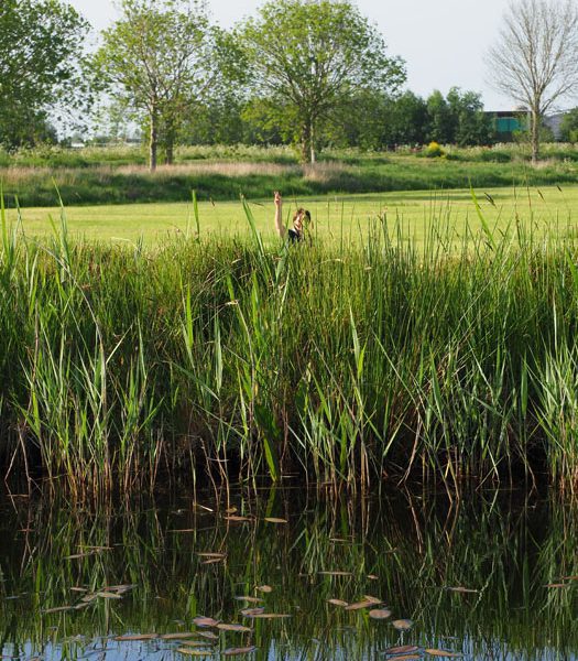 Bijna kopje onder in Grote Veenpolder