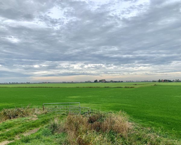 De Greidhoeke — het strakst gemaaide en grootste grasveld van Europa — verrast met kleinigheden