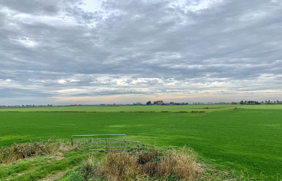 De Greidhoeke — het strakst gemaaide en grootste grasveld van Europa — verrast met kleinigheden