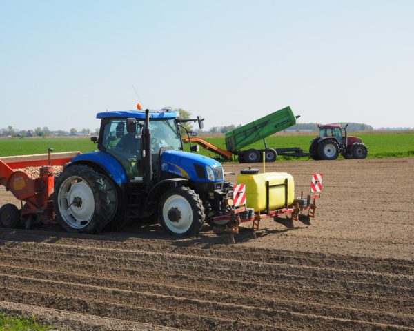 Friese pootaardappeltelers spelen grote rol in mondiale voedselvoorziening