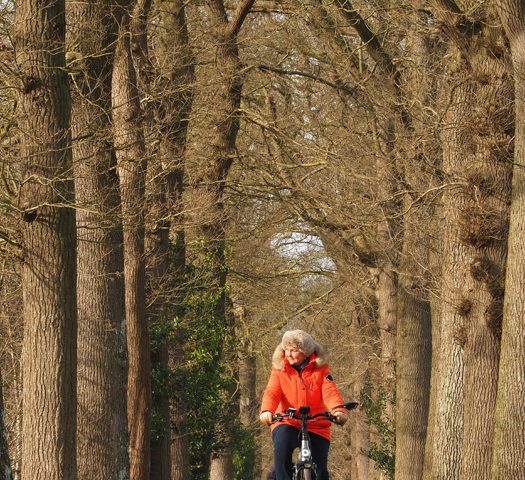 In het spoor van de adel door de Friese Wouden