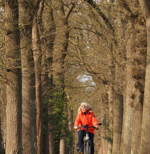 In het spoor van de adel door de Friese Wouden