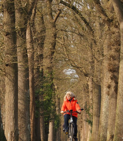 In het spoor van de adel door de Friese Wouden