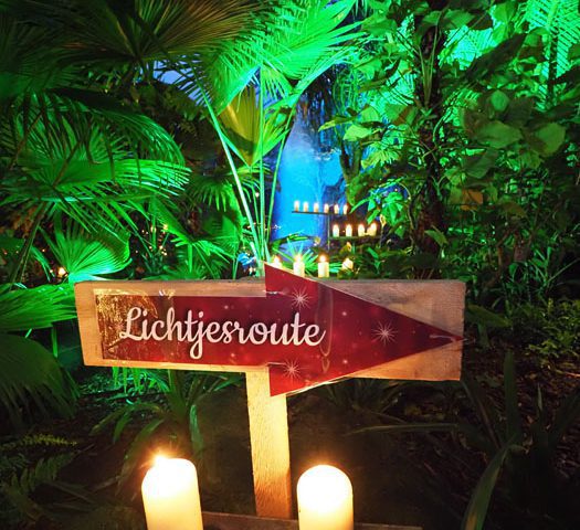 Kerst 2022: Het grootste lichtspektakel ooit in vernieuwde Orchideeën Hoeve