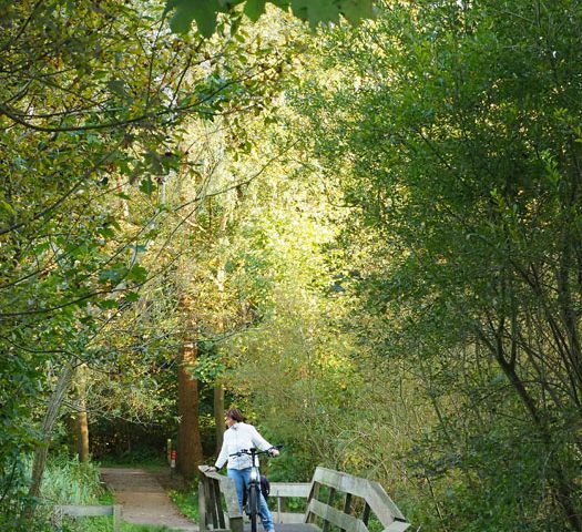 Kuinderbos in Noordoostpolder na 70 jaar net zo mooi als Gaasterland en Drents-Friese Wold