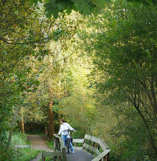 Kuinderbos in Noordoostpolder na 70 jaar net zo mooi als Gaasterland en Drents-Friese Wold