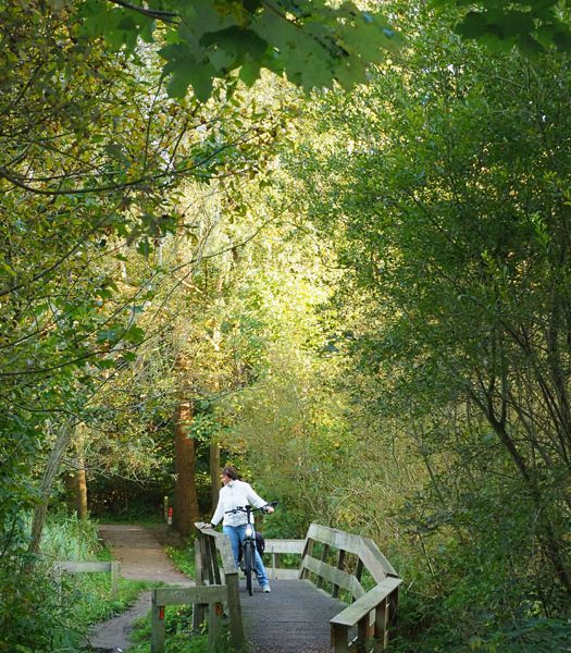 Kuinderbos in Noordoostpolder na 70 jaar net zo mooi als Gaasterland en Drents-Friese Wold