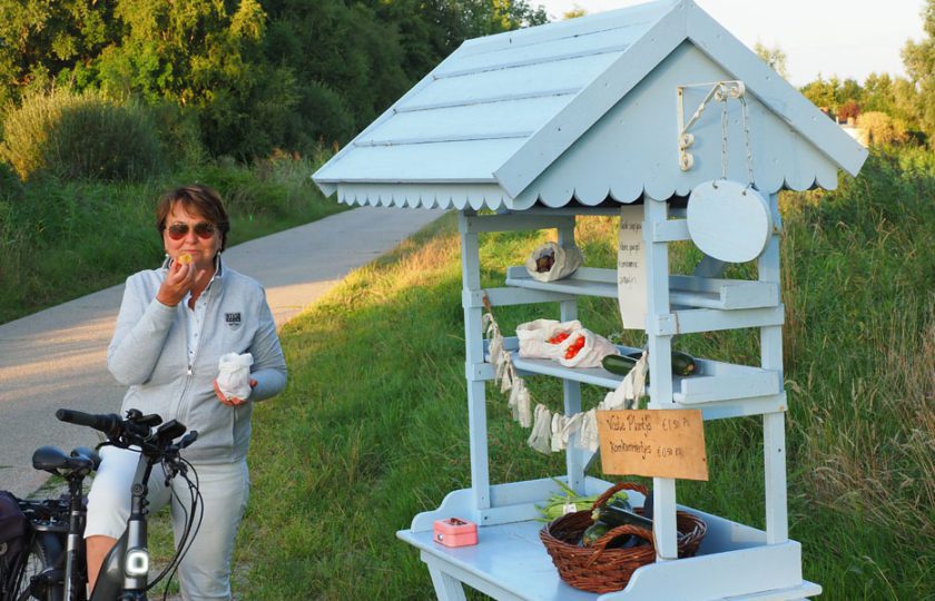 Op ‘kraamvisite’ in de Stellingwerven: proeverij op de fiets