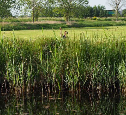 Ramptoerisme: op de fiets of met de boot genieten van krimpend Zuid-Friesland