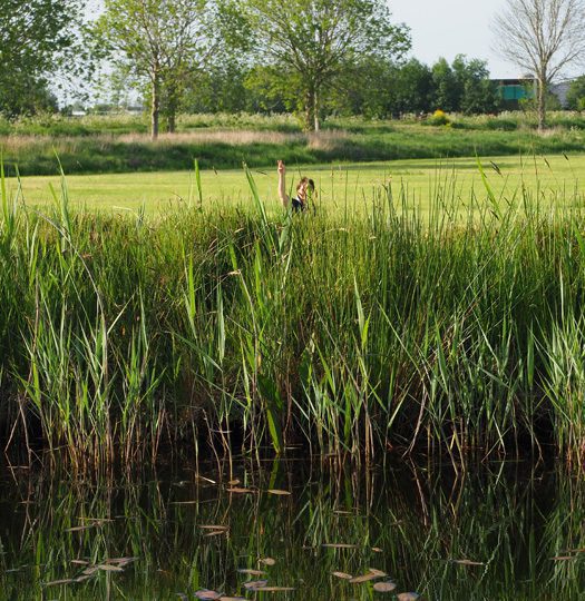 Ramptoerisme: op de fiets of met de boot genieten van krimpend Zuid-Friesland