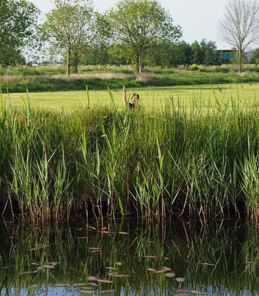 Ramptoerisme: op de fiets of met de boot genieten van krimpend Zuid-Friesland