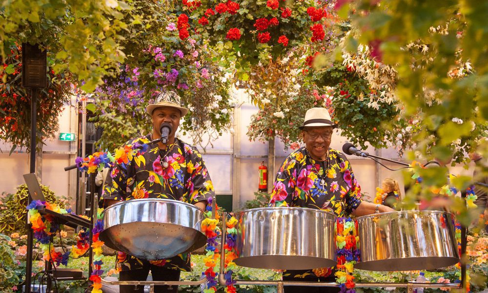 Tropische verrassingen in Koninklijke Orchideeën Hoeve tijdens Caribische Week