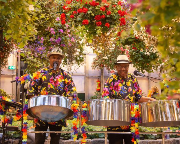 Tropische verrassingen in Koninklijke Orchideeën Hoeve tijdens Caribische Week