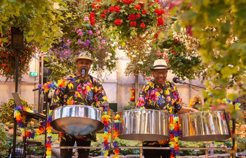 Tropische verrassingen in Koninklijke Orchideeën Hoeve tijdens Caribische Week